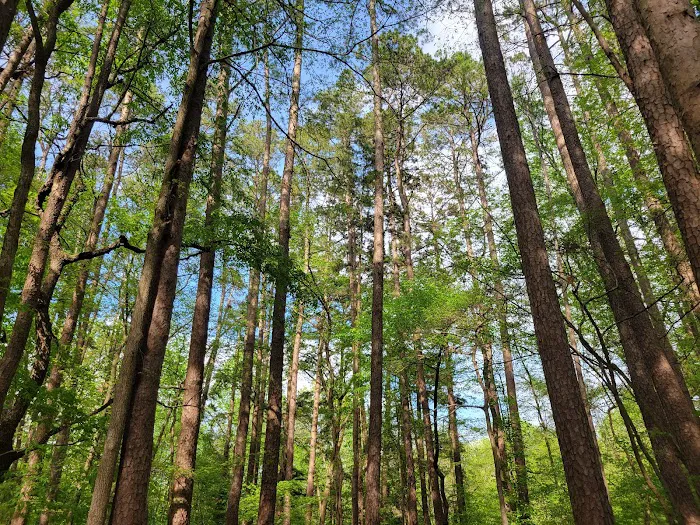 Oak Point Campground Picture 1