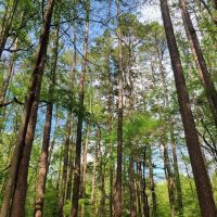 Oak Point Campground ico