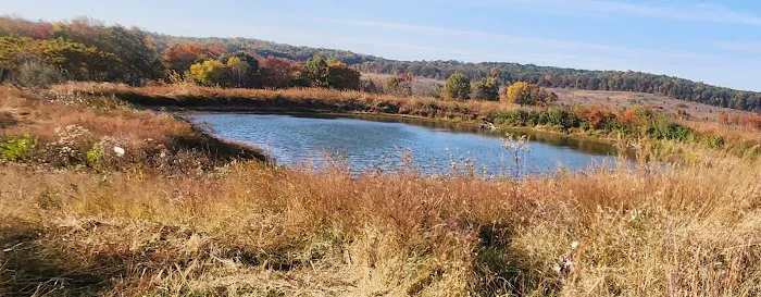 Pennant Bar Openland - Shawnee National Forest Picture 4