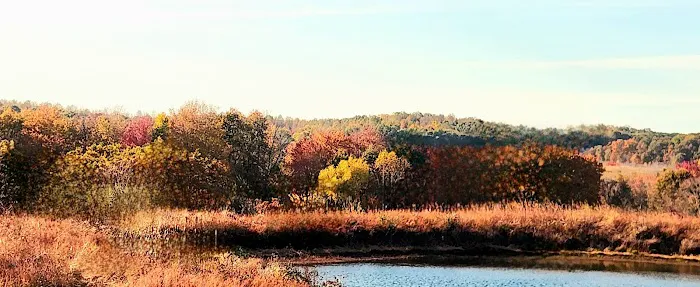 Pennant Bar Openland - Shawnee National Forest Picture 1