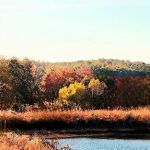 Pennant Bar Openland - Shawnee National Forest