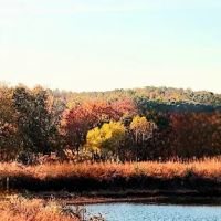 Pennant Bar Openland - Shawnee National Forest ico