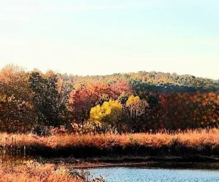 Pennant Bar Openland - Shawnee National Forest