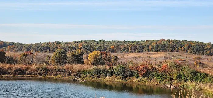 Pennant Bar Openland - Shawnee National Forest Picture 5