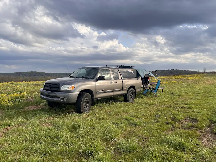Pennant Bar Openland - Shawnee National Forest Picture 3