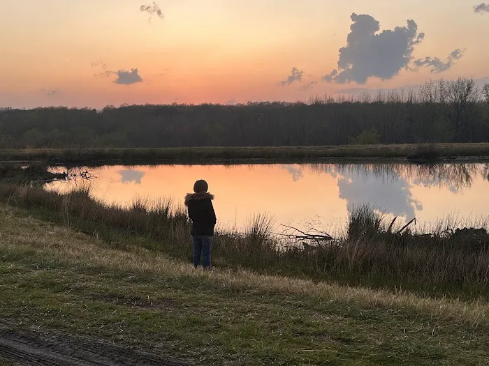 Pennant Bar Openland - Shawnee National Forest Picture 2
