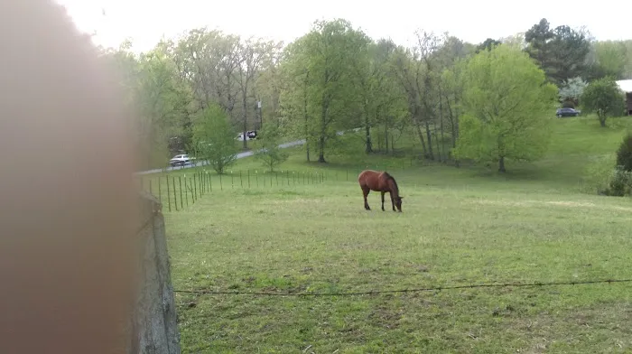 Tanbark Campground Picture 5