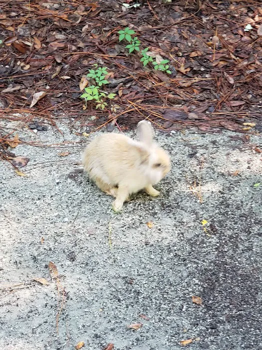 Blythe Island Recreational park Picture 3