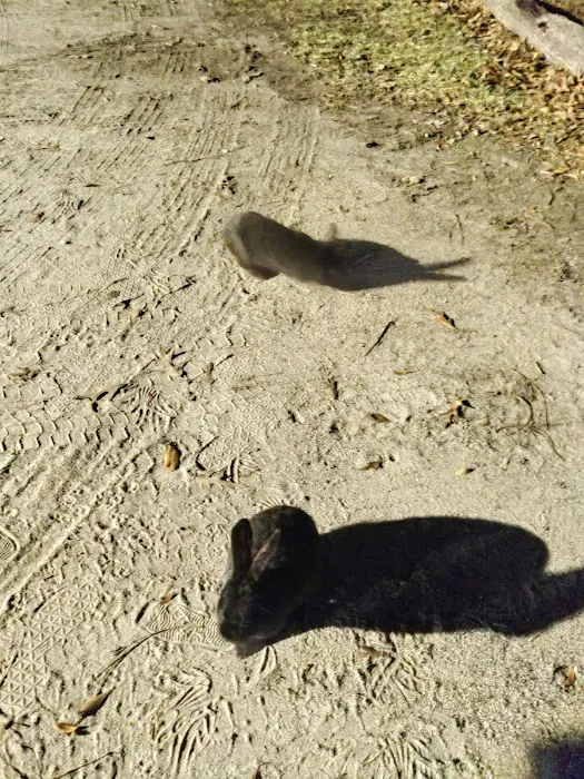 Blythe Island Recreational park Picture 2