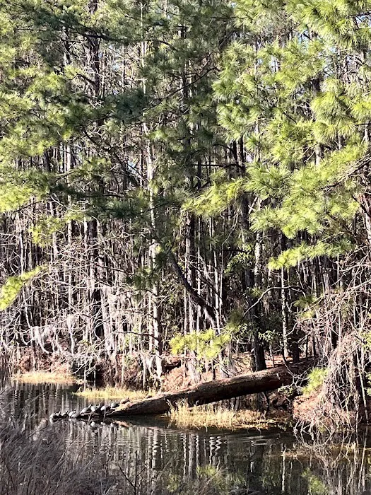 Blythe Island Picture 9