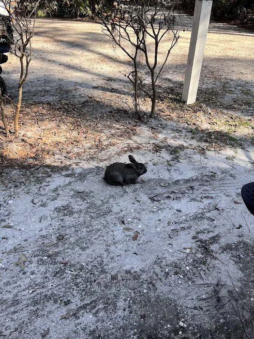 Blythe Island Picture 8