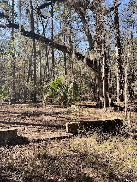 Blythe Island Picture 7