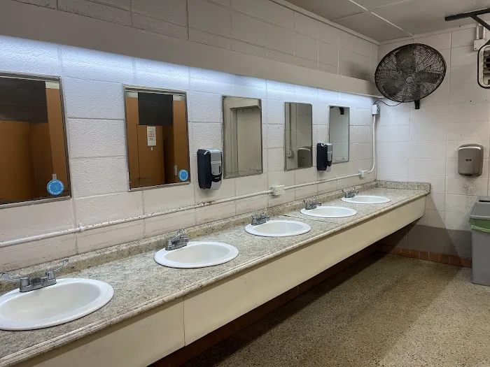 Jekyll Island Campground Picture 2