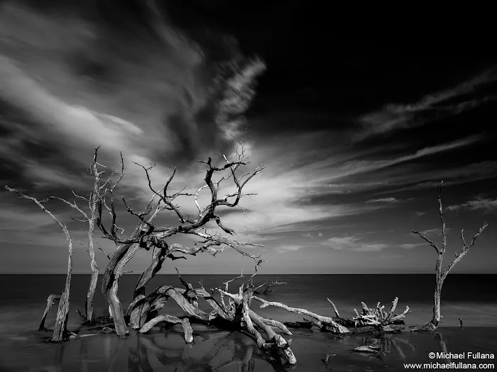 Jekyll Island Campground Picture 10