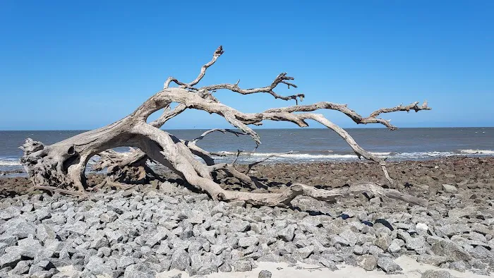 Jekyll Island Campground Picture 4