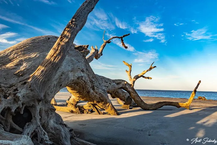 Jekyll Island Campground Picture 8