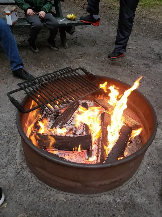 Jekyll Island Campground Picture 7