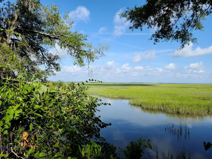 Jekyll Island Campground Picture 6