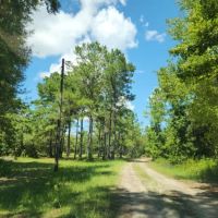 Hidden Lake Estates ico