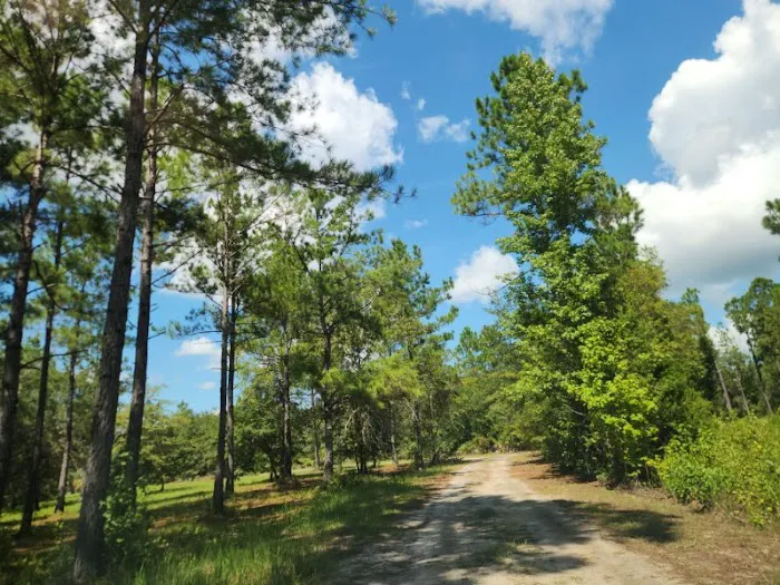 Hidden Lake Estates Picture 4