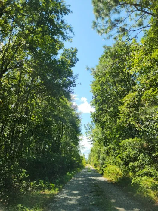 Hidden Lake Estates Picture 5