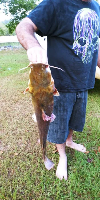 Carter's Bight Picture 7