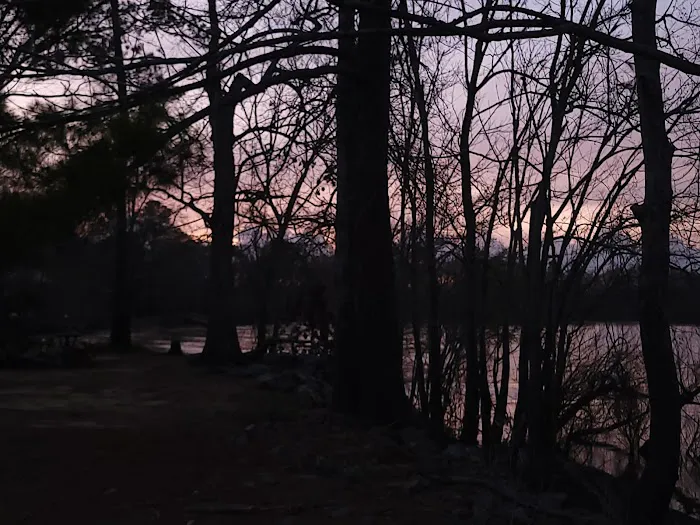 Carter's Bight Picture 1