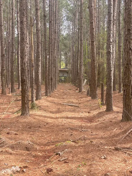 Veracruz Camp Ground GA Picture 1