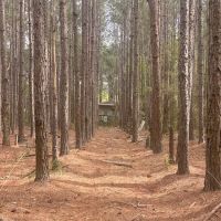 Veracruz Camp Ground GA ico