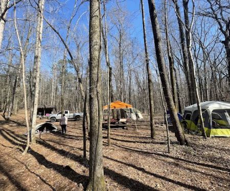 FDR Pioneer Camp Site 2