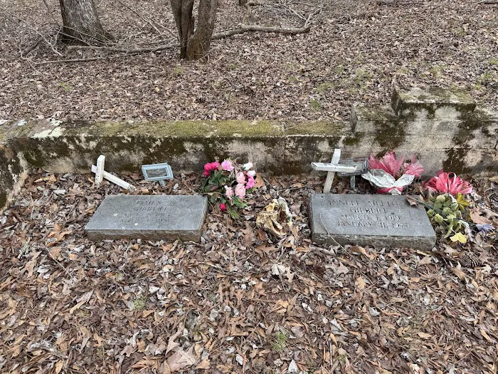 Pioneer Campsite #1 Picture 1