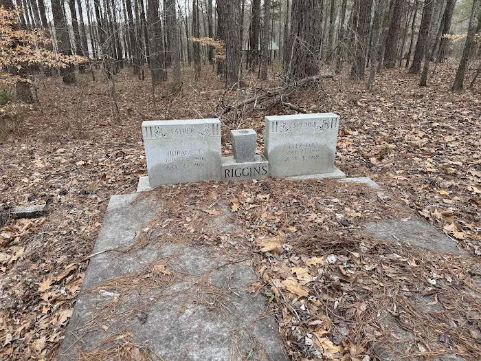 Pioneer Campsite #1 Picture 3