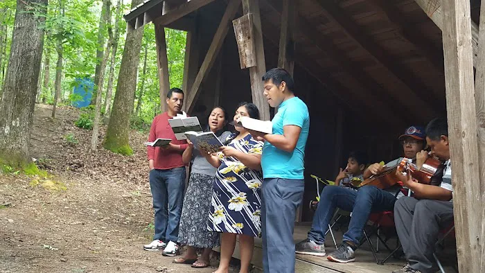 Pioneer Campsite #1 Picture 8