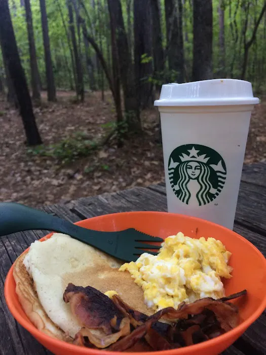 Pioneer Campsite #1 Picture 9