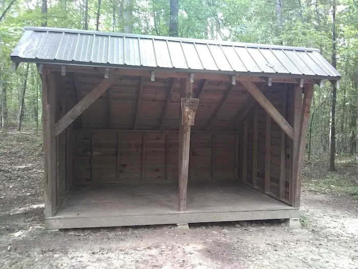 Pioneer Campsite #1 Picture 10