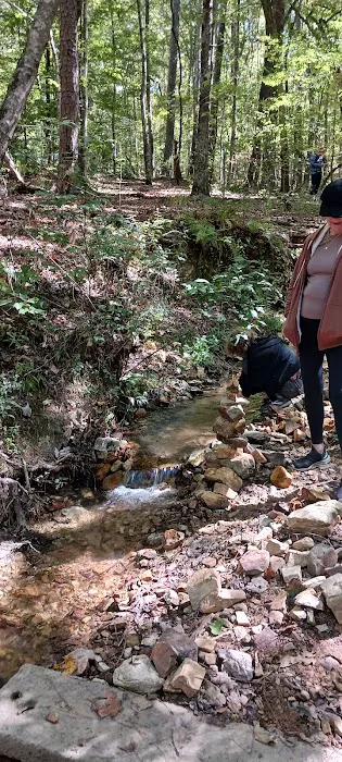 Pioneer Campsite #3 Picture 5