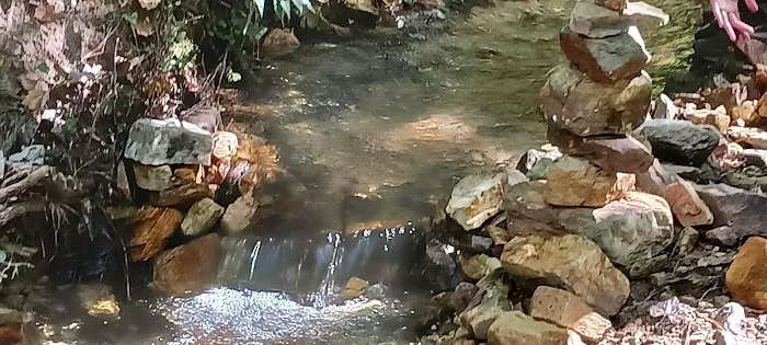 Pioneer Campsite #3 Picture 6