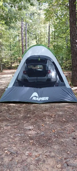 Pioneer Campsite #3 Picture 1