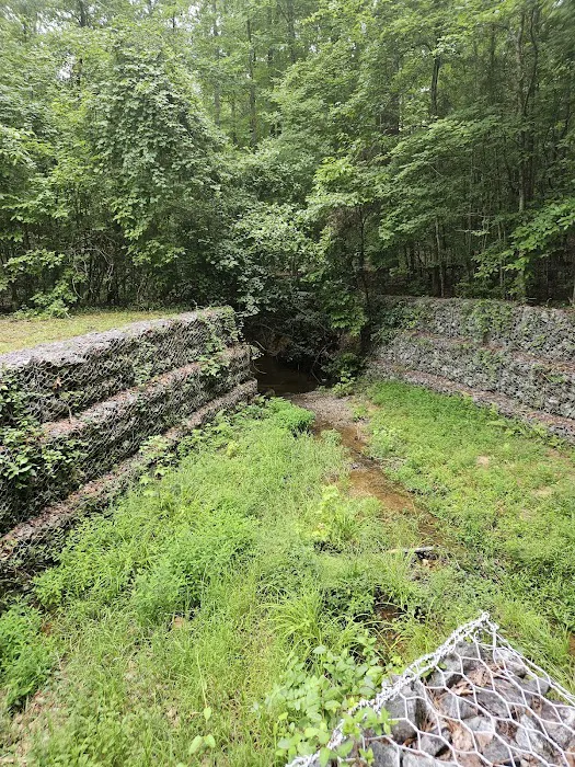 FDR State Park Campground Picture 2