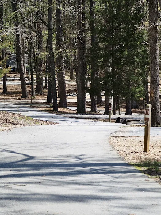 FDR State Park Campground Picture 7