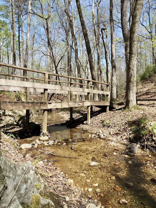 FDR State Park Campground Picture 9
