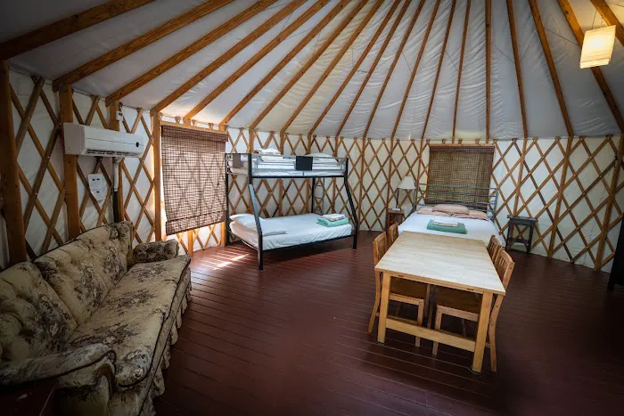 Pine Mountain RV Resort Picture 3