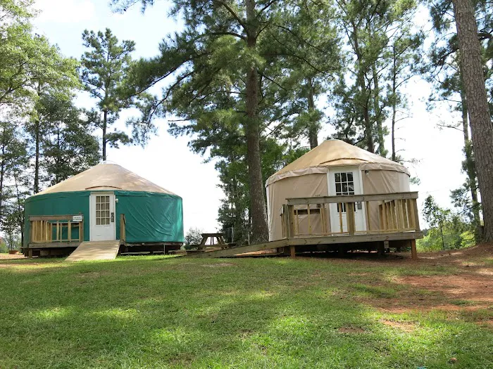 Pine Mountain RV Resort Picture 6