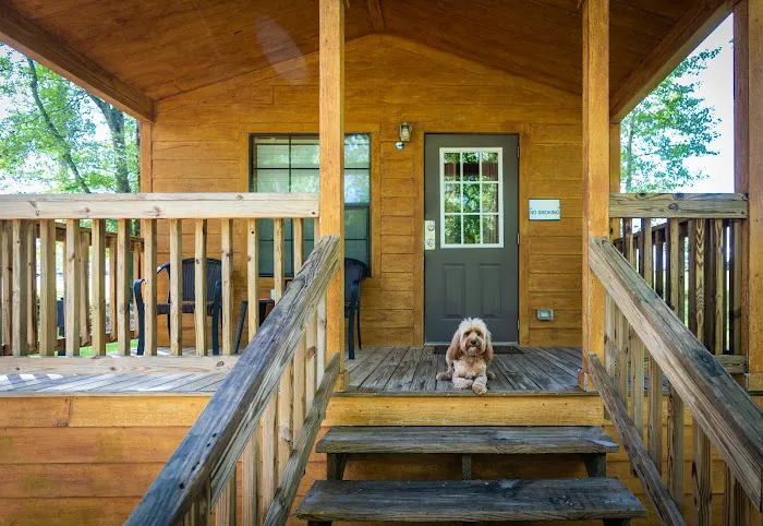 Pine Mountain RV Resort Picture 9