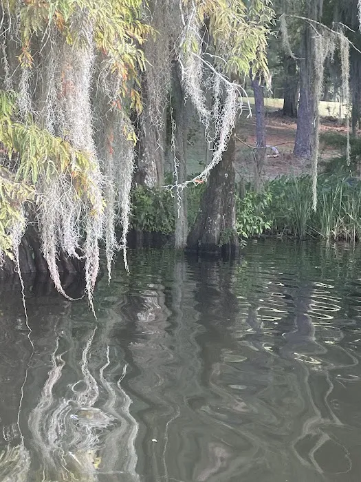 Timberline Glamping at Lake Blackshear Picture 9