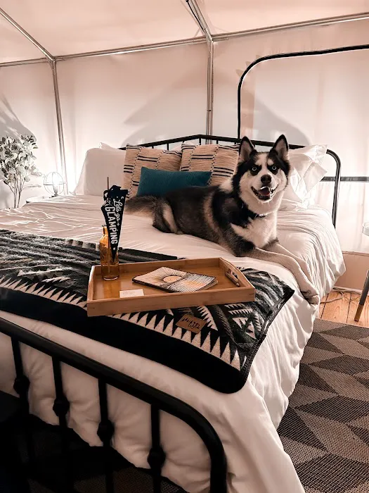 Timberline Glamping at Lake Blackshear Picture 8