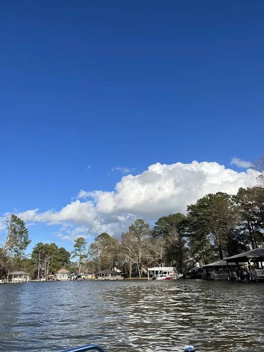 Georgia Veterans State Park Campground Picture 5