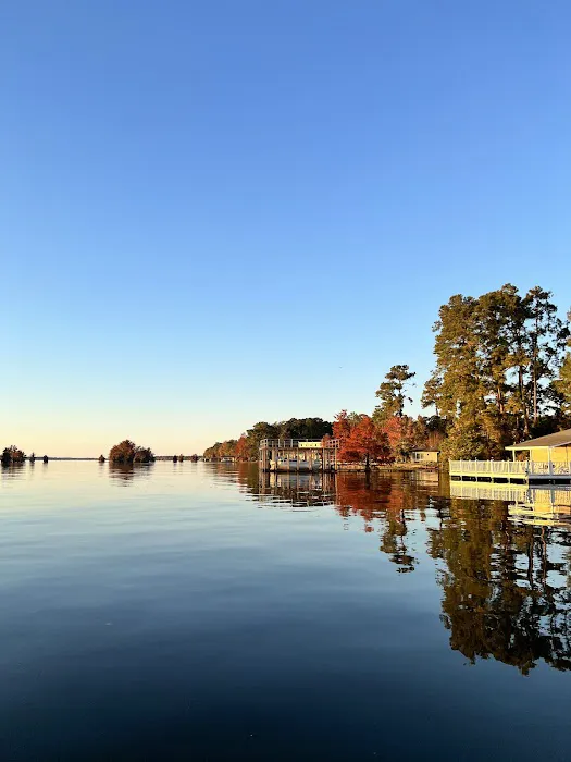 Georgia Veterans State Park Campground Picture 3