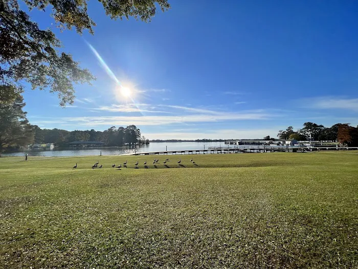 Georgia Veterans State Park Campground Picture 4