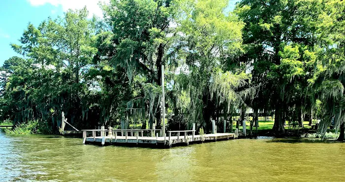 Georgia Veterans State Park Campground Picture 6